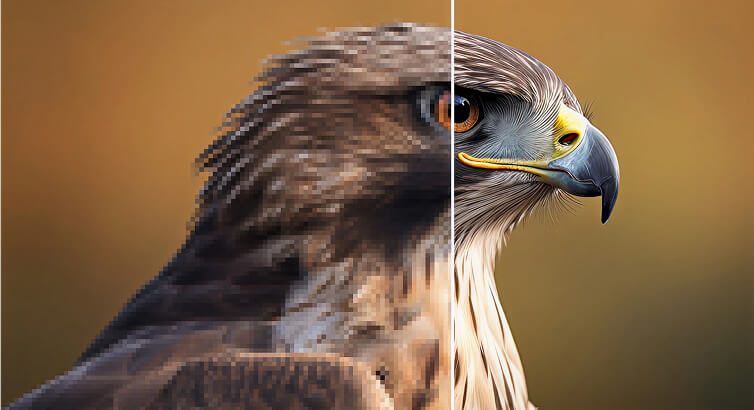 free ai image enhancement and upscaling before and after comparison by Zoviz upscaler