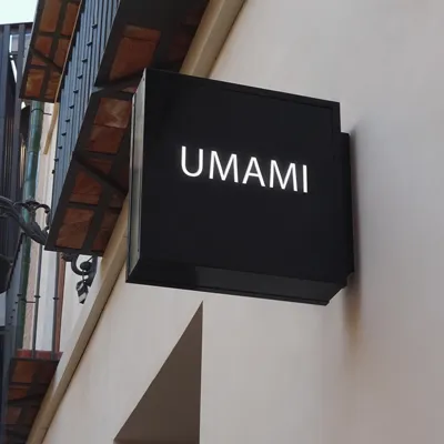 umami logo created by Zoviz free ai logo creator