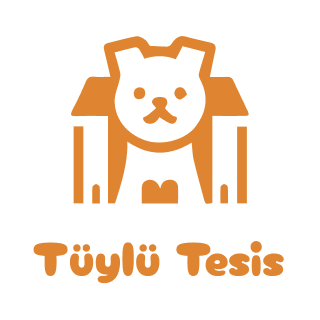 Sample logo from Zoviz logo ideas