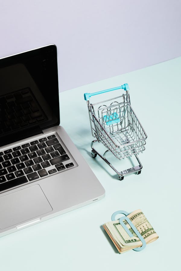 E-Commerce & DTC Brands