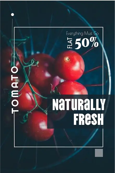 Fresh tomatoes sale poster with 50% discount promoting natural and organic produce