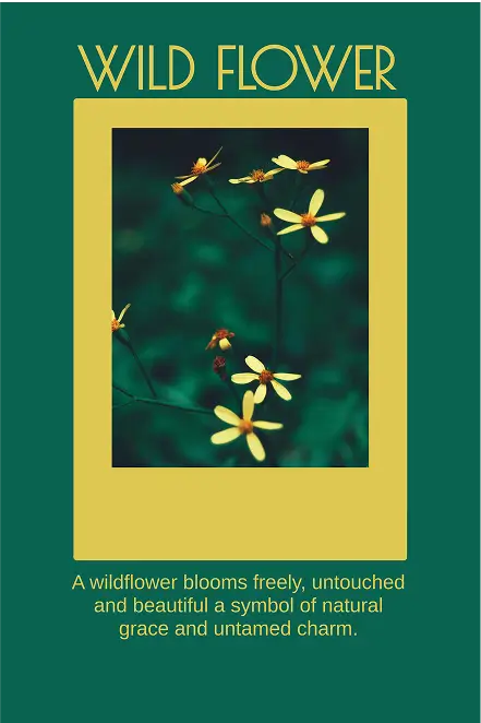 Wildflower poster design template with yellow floral photography